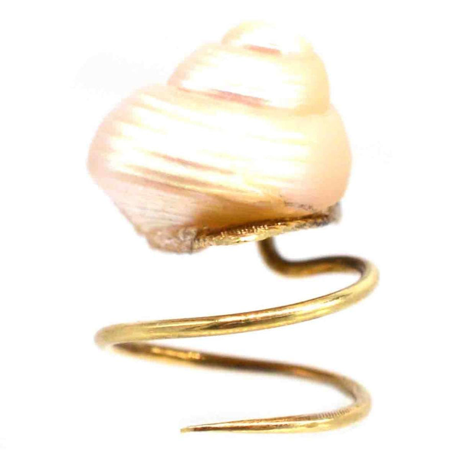 Tiny Victorian 18ct gold snail brooch pin featuring a real seashell with spiral detail.