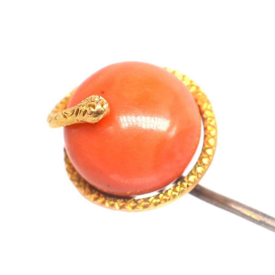 Victorian 15ct Gold Snake Coral Tie Pin