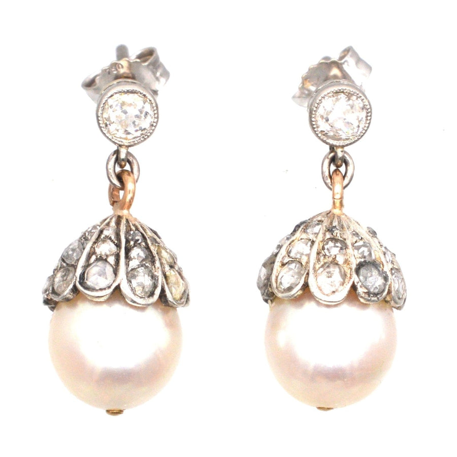 Edwardian 18ct White Gold, Cultured Pearl and Rose Diamond Acorn Earrings | Parkin and Gerrish (UK)
