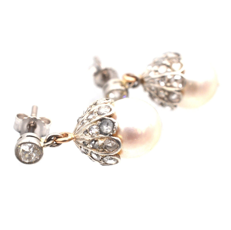Edwardian 18ct White Gold, Cultured Pearl and Rose Diamond Acorn Earrings | Parkin and Gerrish (UK)