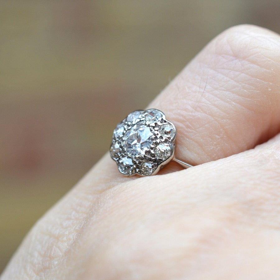 Edwardian 18ct White Gold Old Mine Cut Diamond Cluster Ring | Parkin and Gerrish | Antique & Vintage Jewellery
