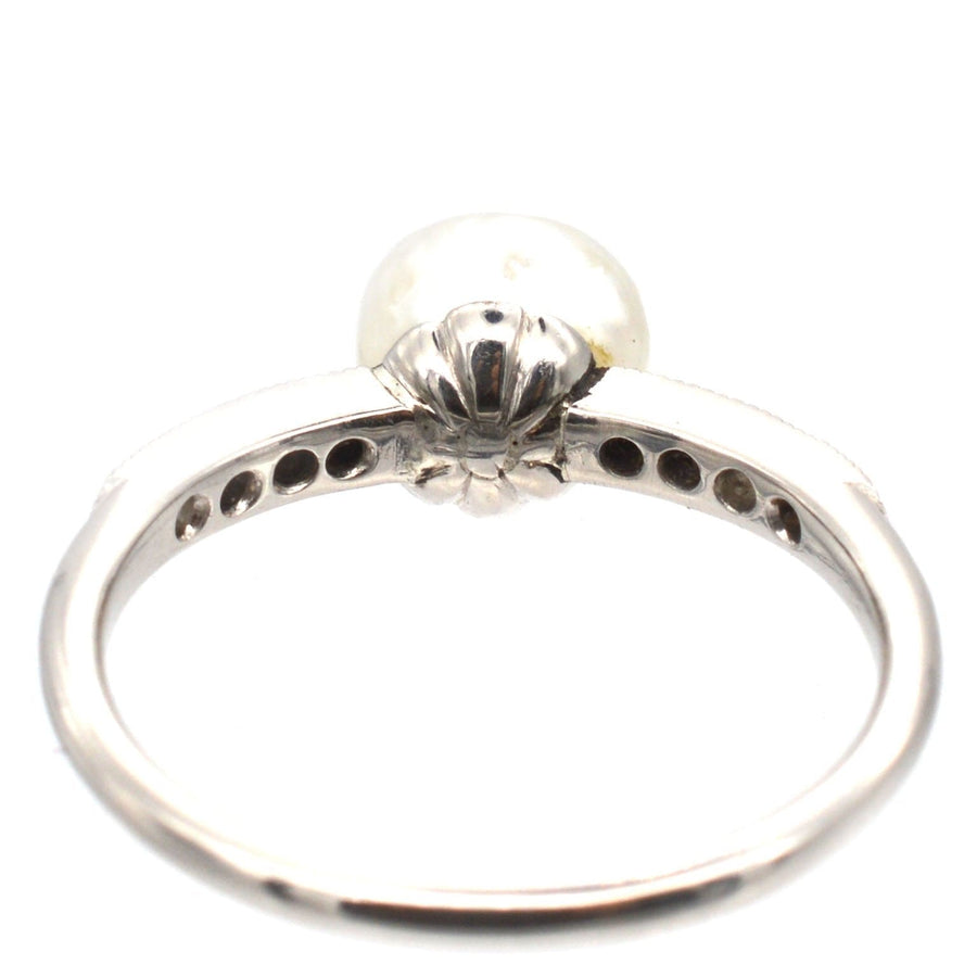 Edwardian 18ct White Gold & Platinum, Natural Pearl & Diamond Ring | Parkin and Gerrish | Antique & Vintage Jewellery