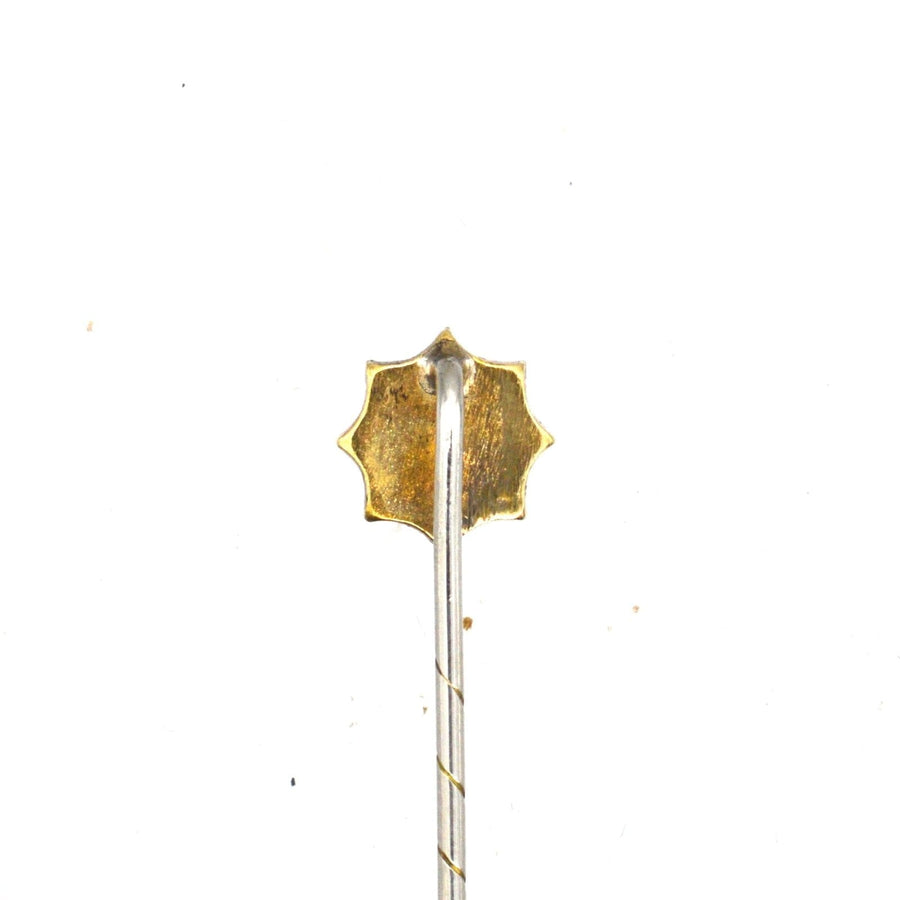 Edwardian 9ct Gold and Ruby Tie Pin | Parkin and Gerrish (UK)
