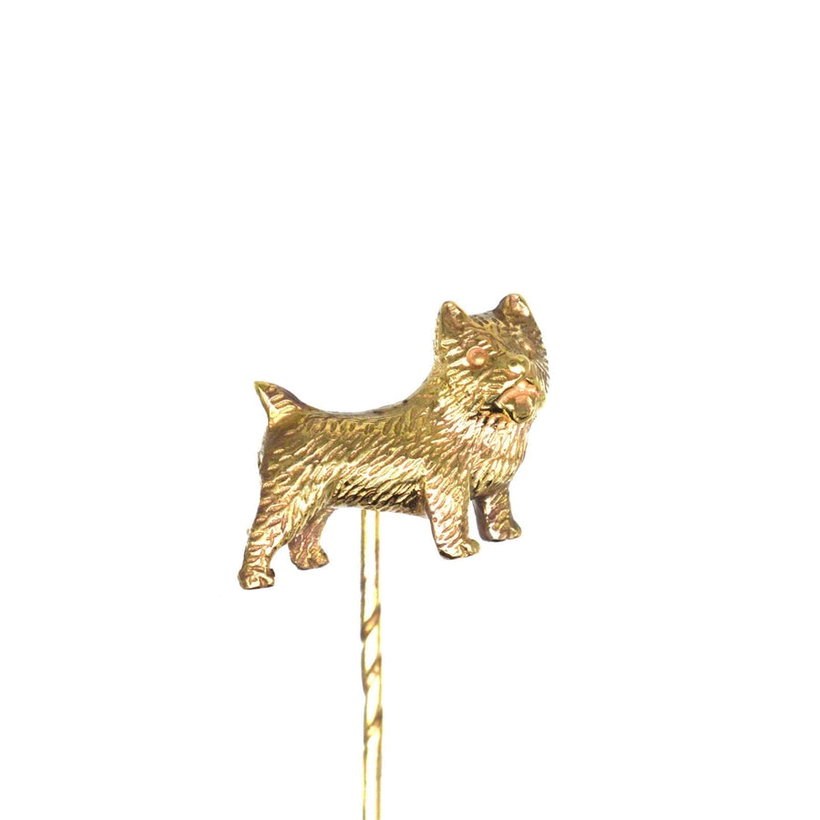 Edwardian 9ct gold Cairn Terrier dog tie pin, expertly crafted for a stylish look on ties or lapels.