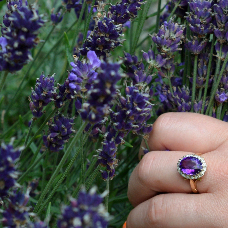 Hand wearing a vintage 1970s gold amethyst ring among blooming lavender flowers.